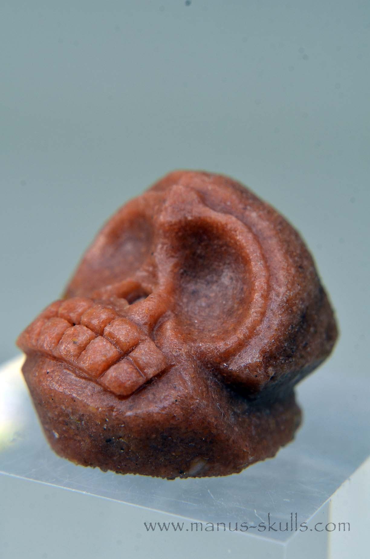 Manus skulls unique Crystal Carvings handmade skulls dragons pendants preseli bluestone tribals spiritual meaning wand Unicorn .. Stromatolite Oncolite Evolian 2025 Ivolian