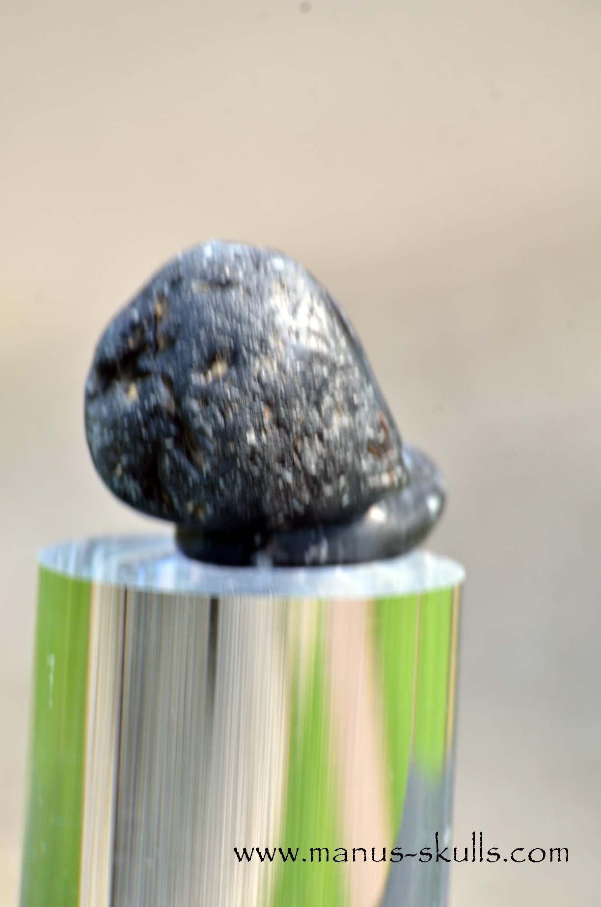 Agni Manitite Evolian #05