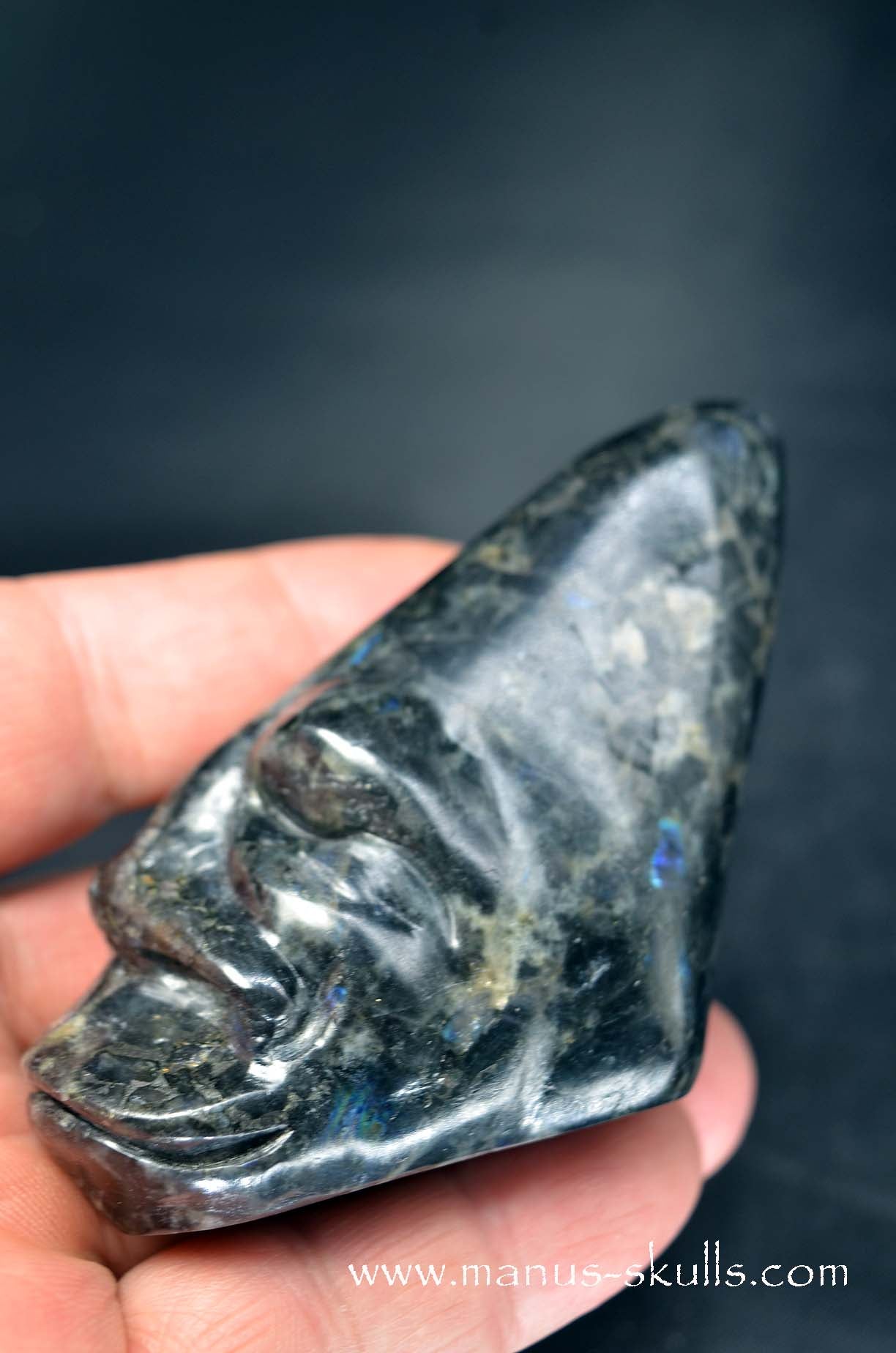 Spectrolite Toothless Conehead Skull