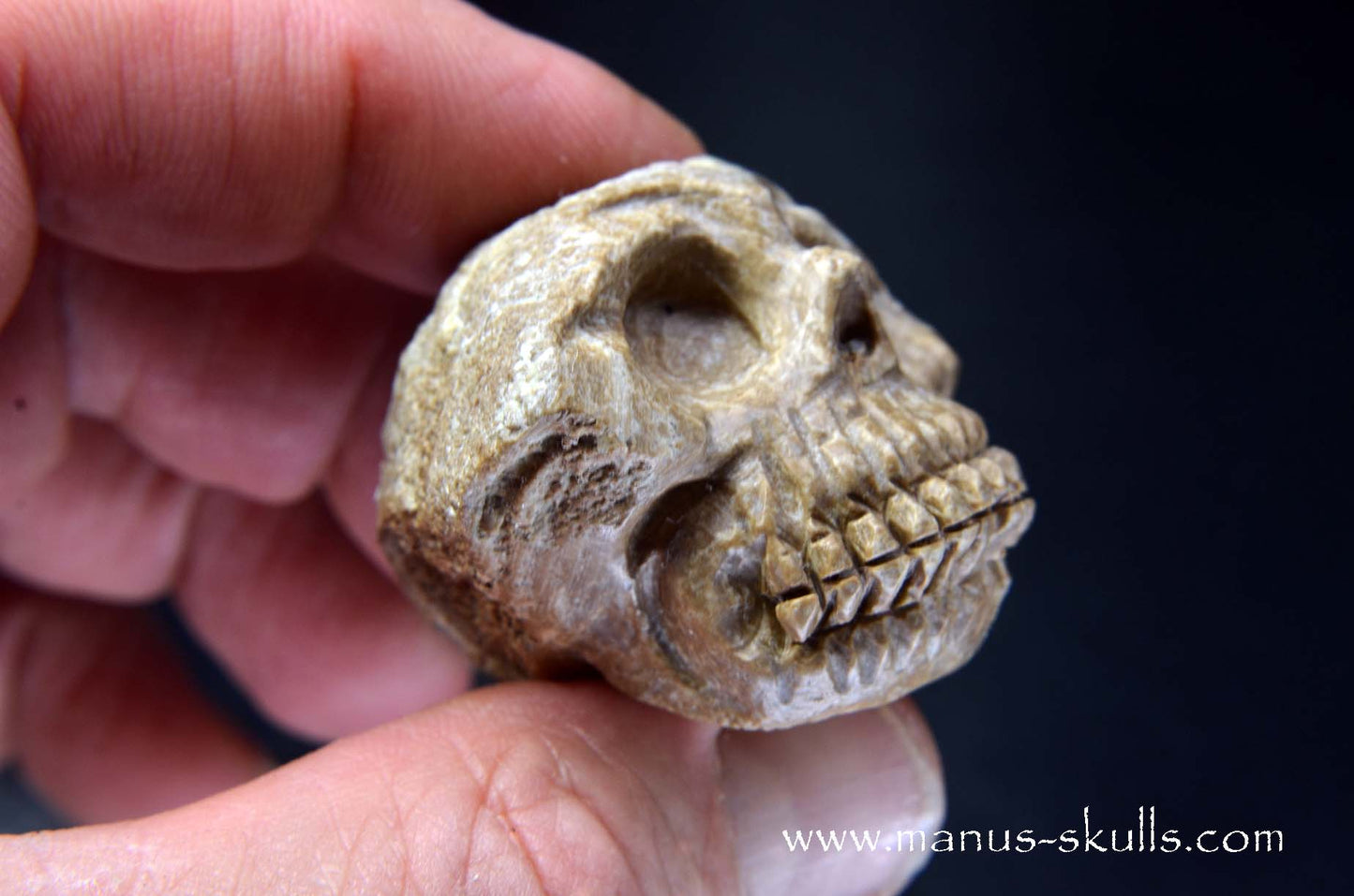 Aragonite Nodul Skull