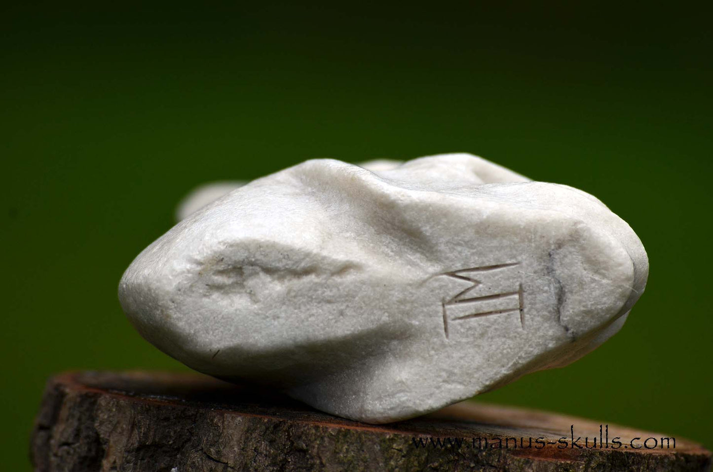Hairless White Steatite Spiral Tribal Skull #059