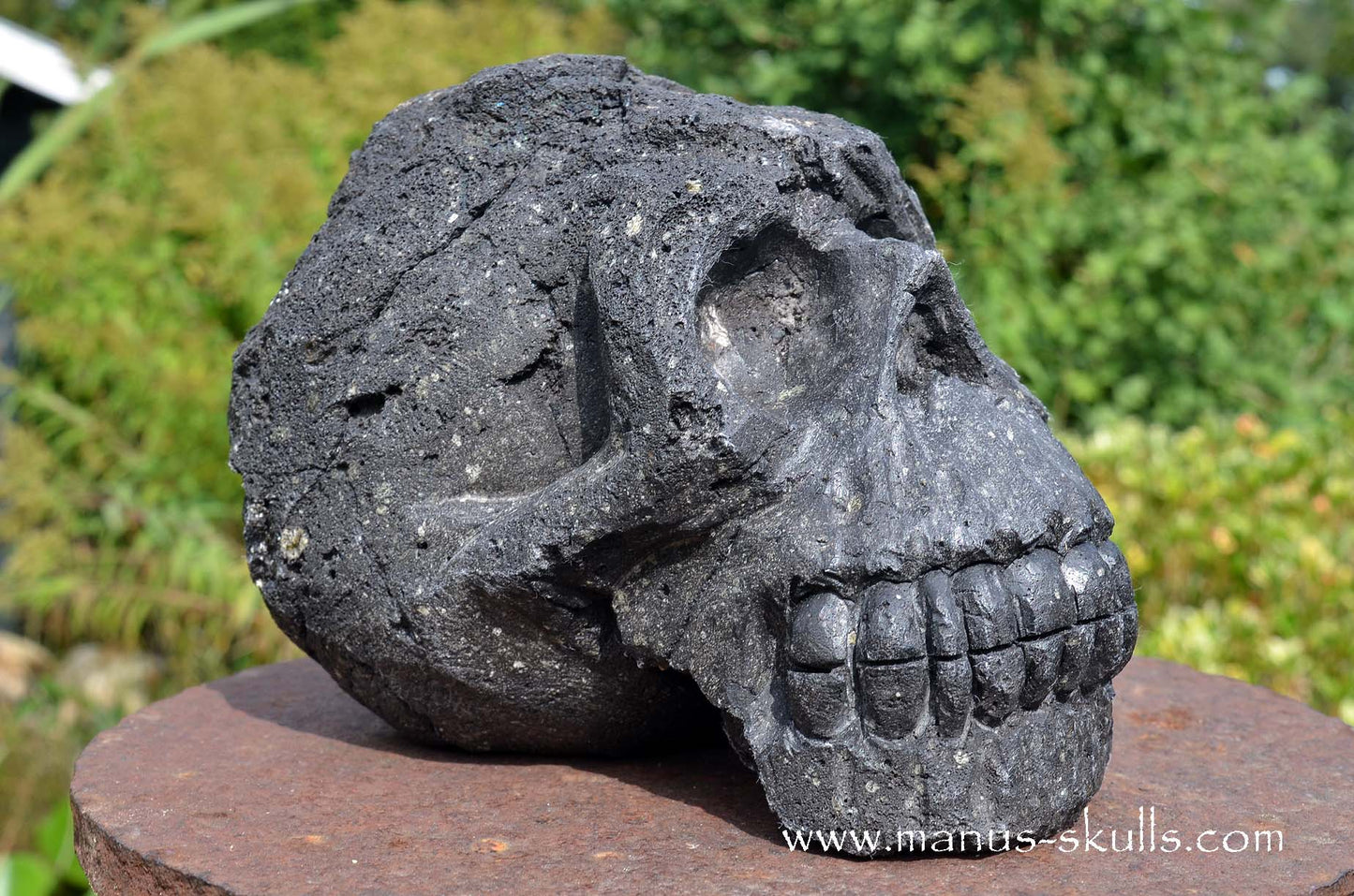 Large and Heavy Lava Skull