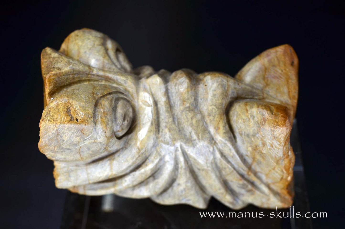 Sarsens Stone Dragon (Stonehenge Stone)