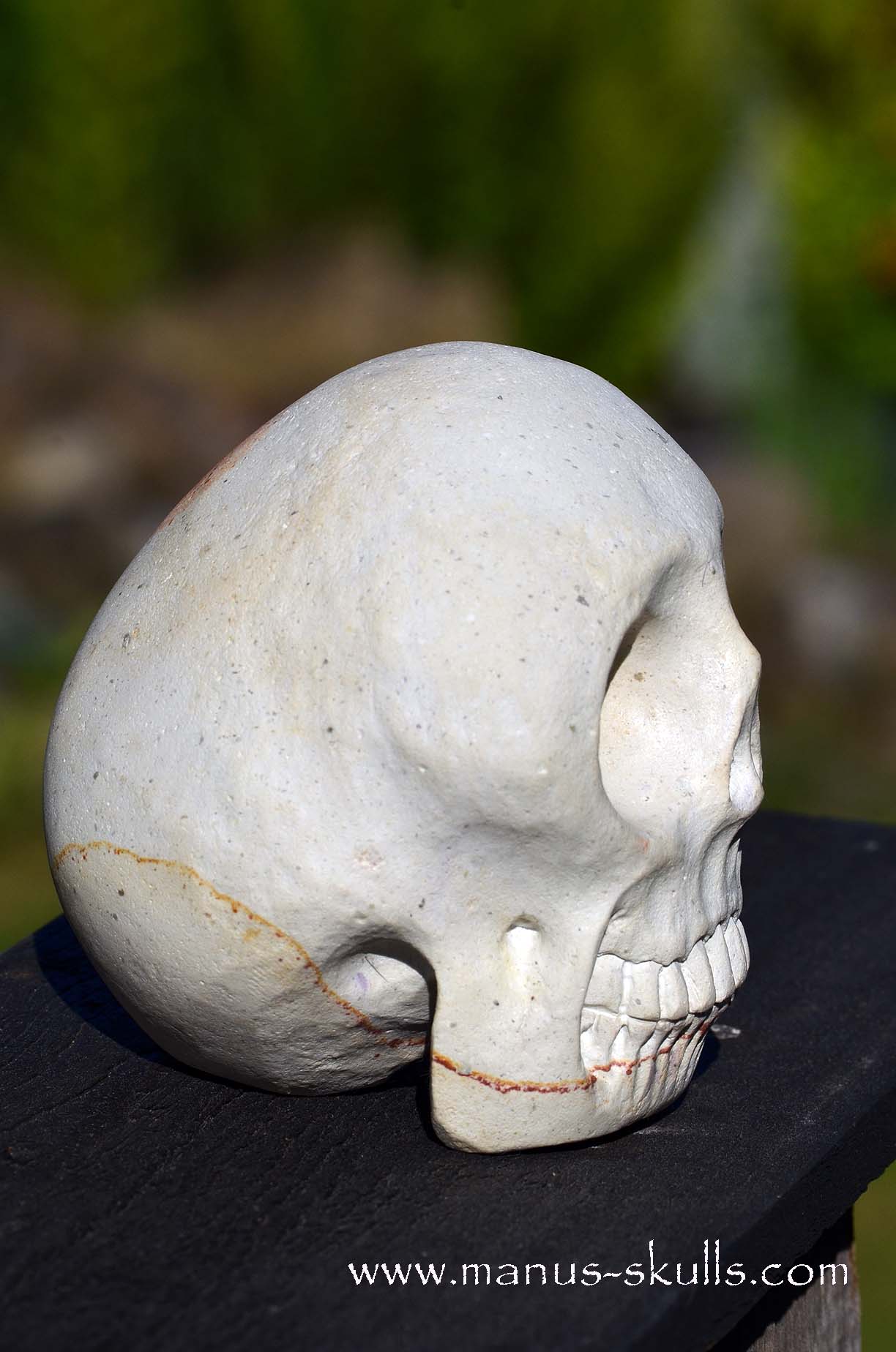 Arizona Sandstone skull