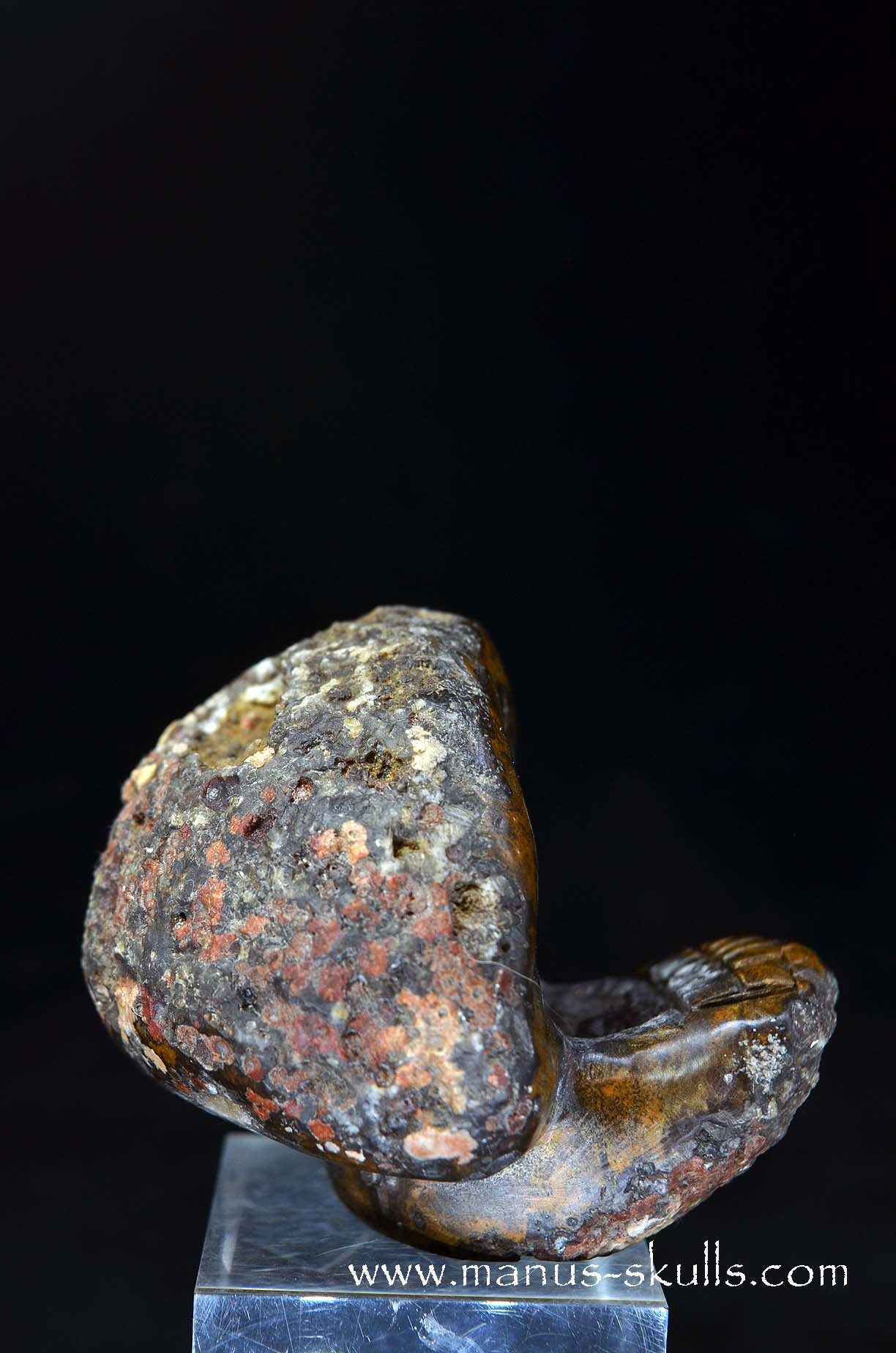 Agate Geode Evolian #01