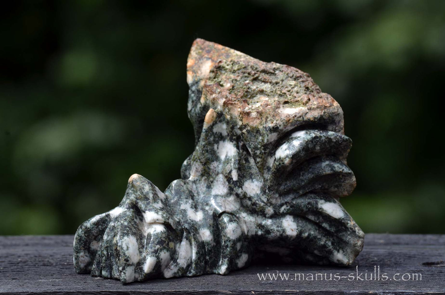 Preseli Bluestone Dragon