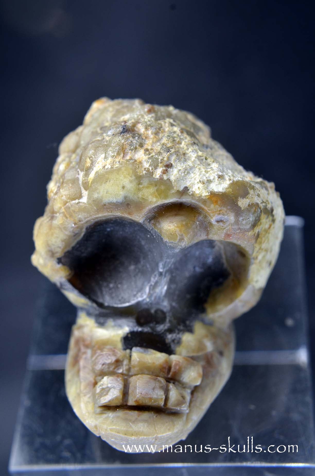 TNT-bed Thunderegg Evolian #01