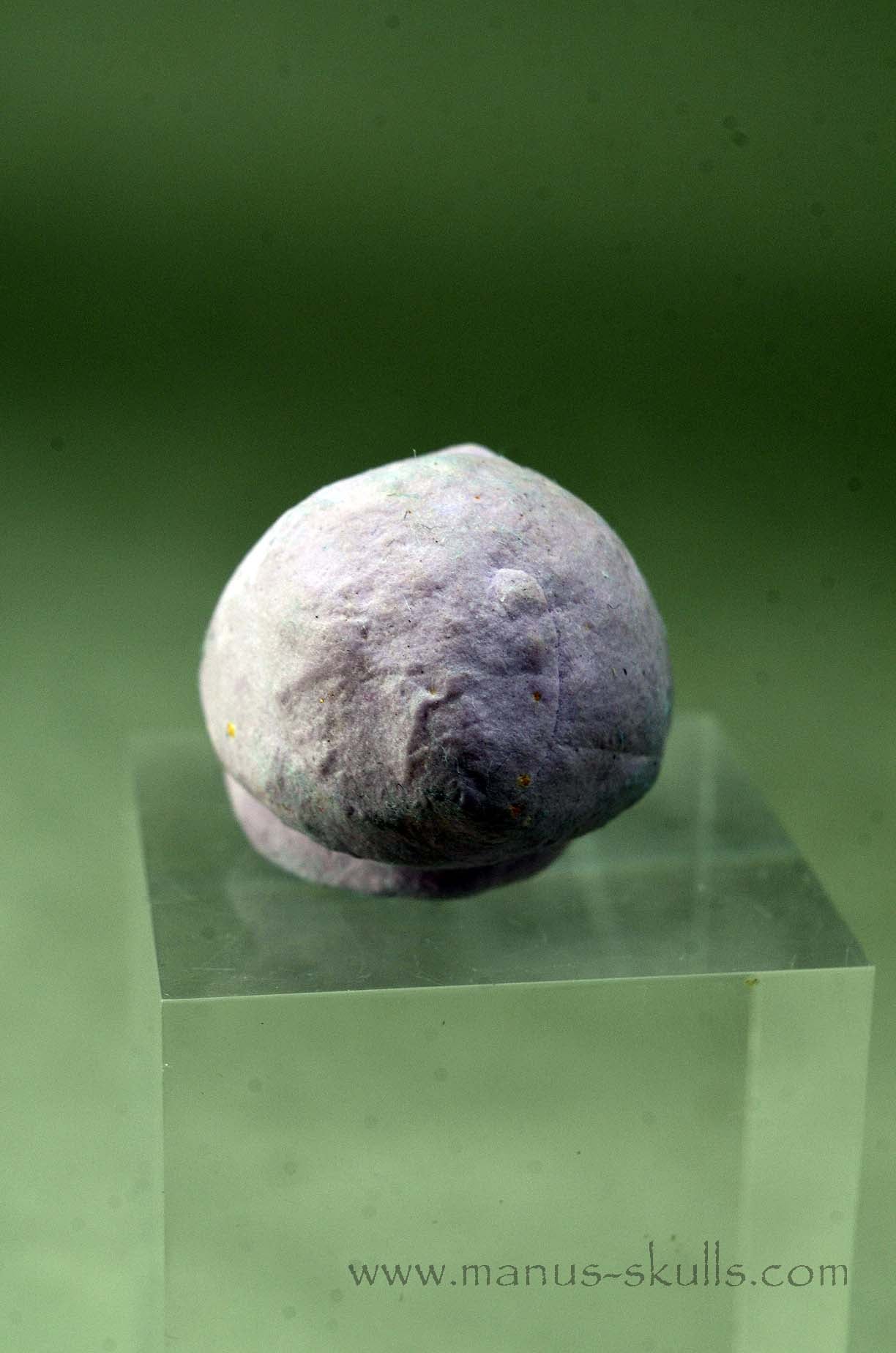 Phosphosiderite Evolian Skull #01