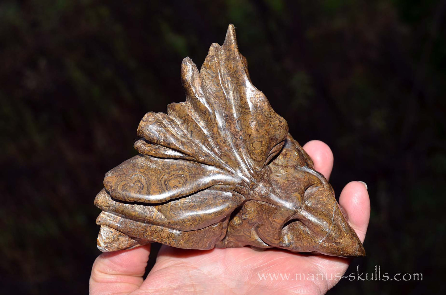 Stromatolite Dragon