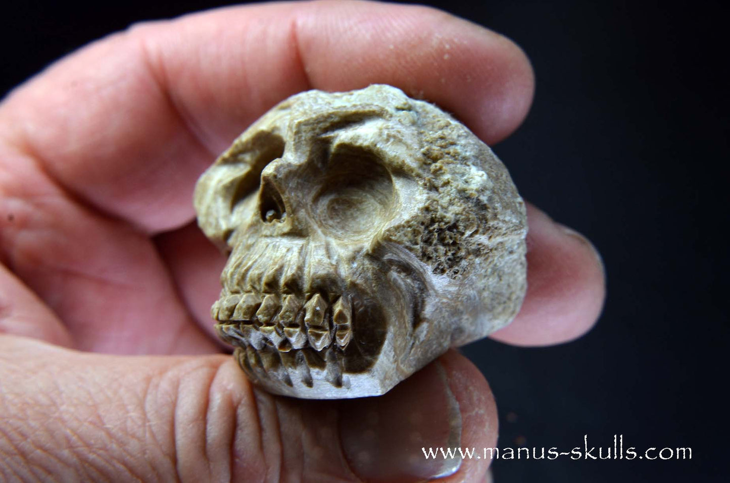 Aragonite Nodul Skull