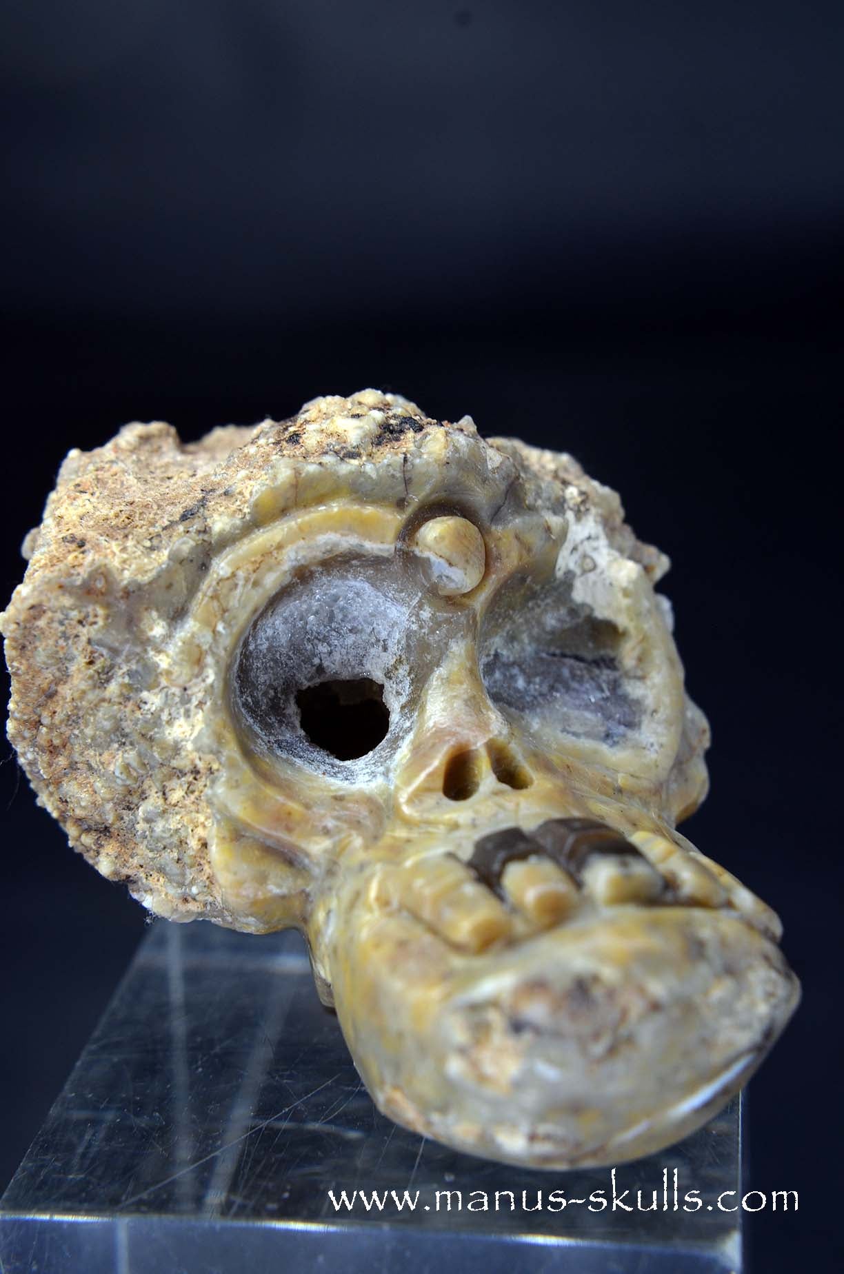 Manus skulls unique Crystal Carvings handmade skulls dragons pendants preseli bluestone tribals spiritual meaning wand Unicorn .. TNT bed   Lithophyse   Thunderegg