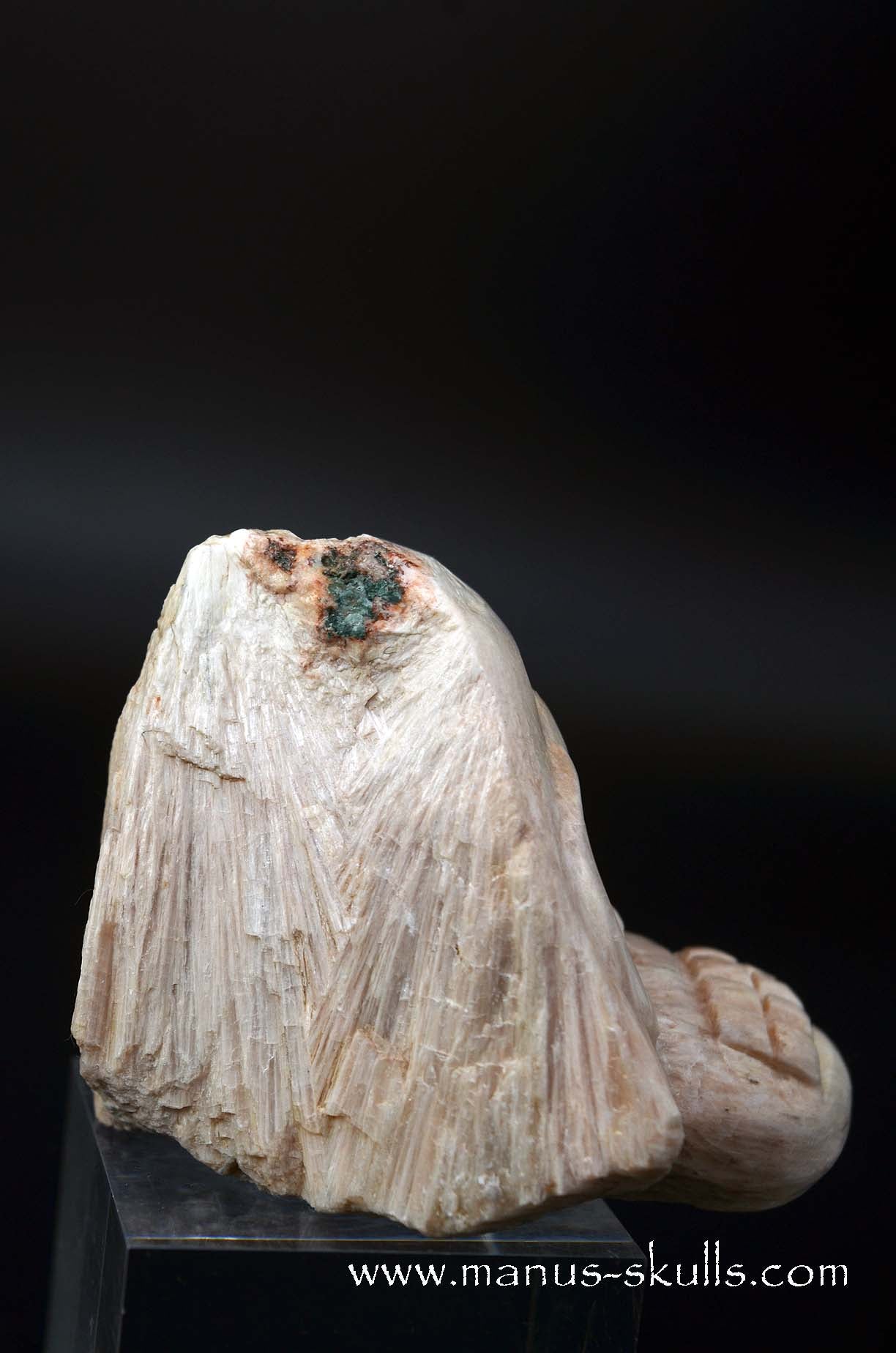Scolecite Evolian Skull #05