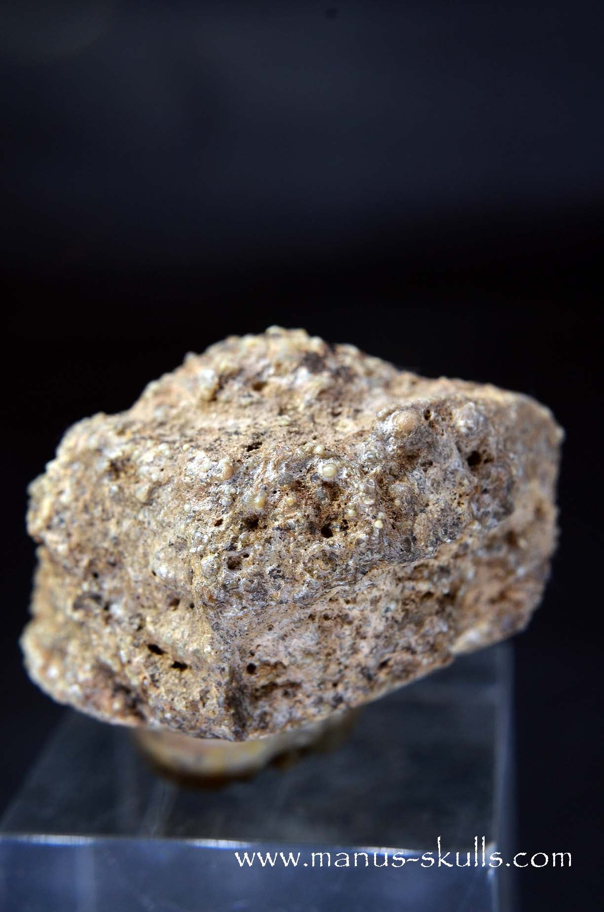 TNT-bed Thunderegg Evolian #05