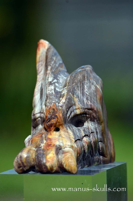 Manus skulls unique Crystal Carvings handmade skulls dragons pendants preseli bluestone tribals spiritual meaning wand Unicorn .. petrified wood