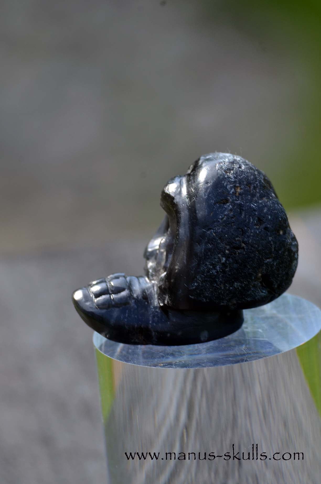 Agni Manitite Evolian #05