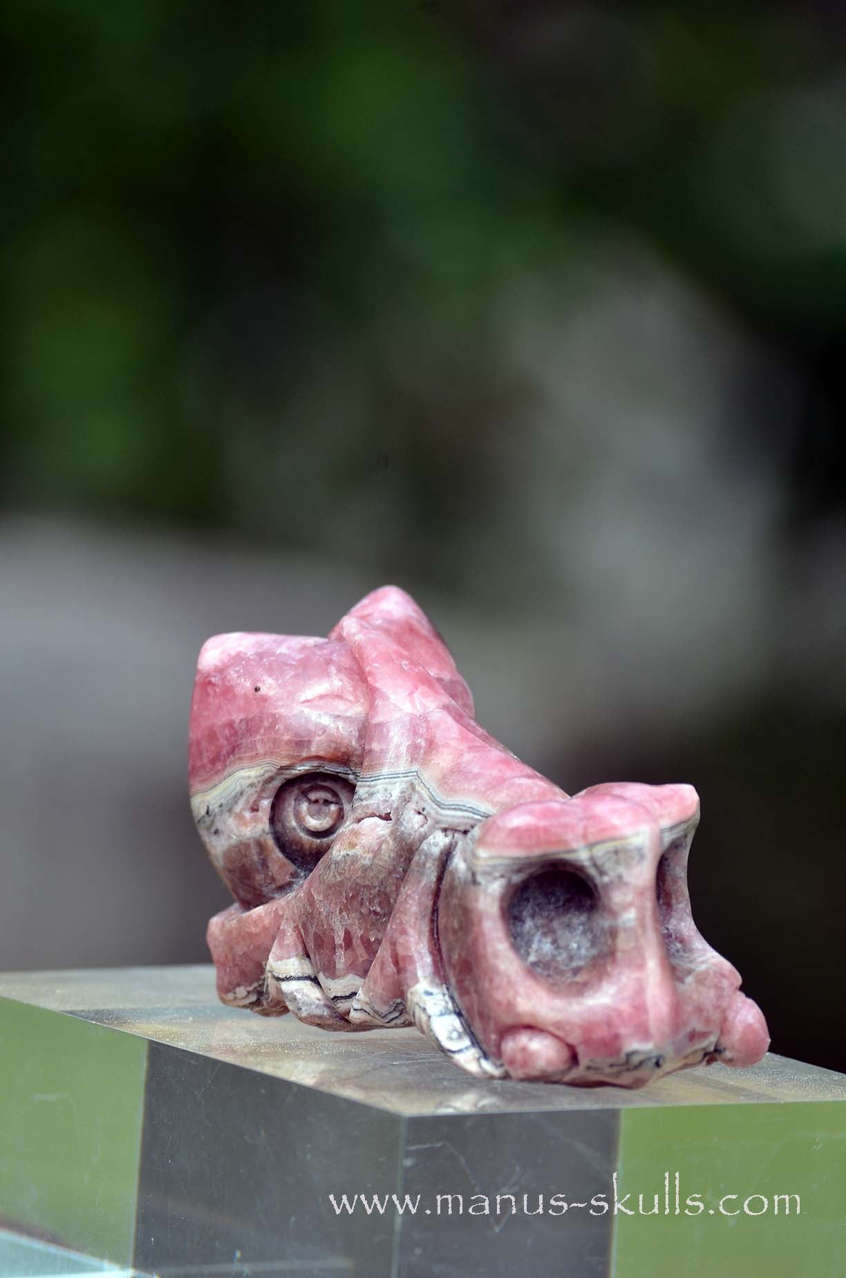 Rhodochrosite Dragon
