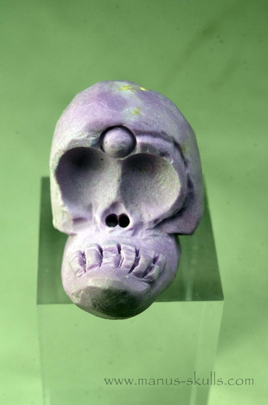 Phosphosiderite Evolian Skull #06