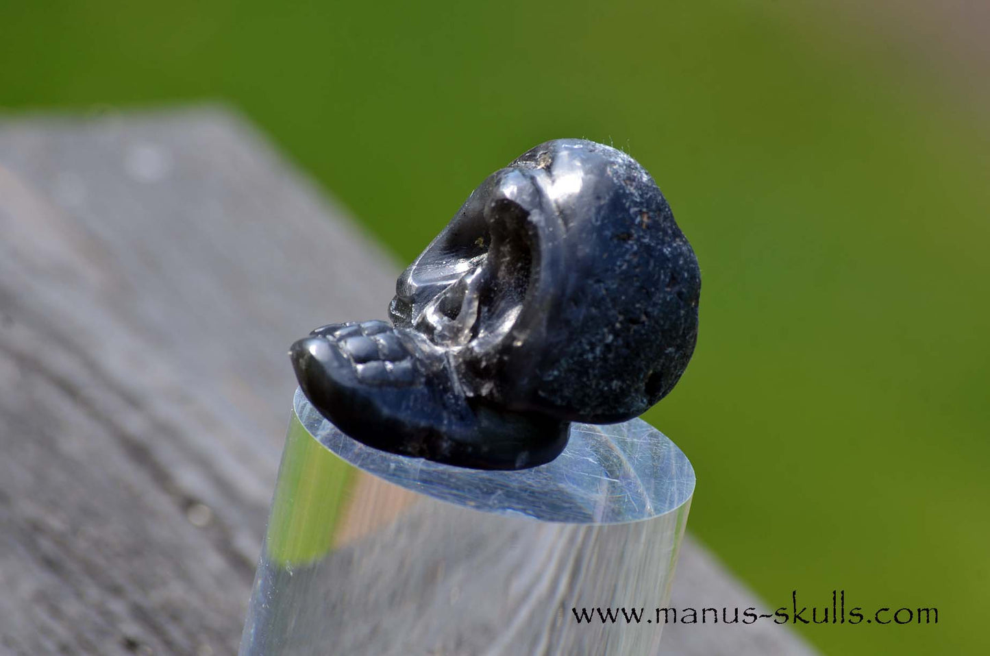 Agni Manitite Evolian #05