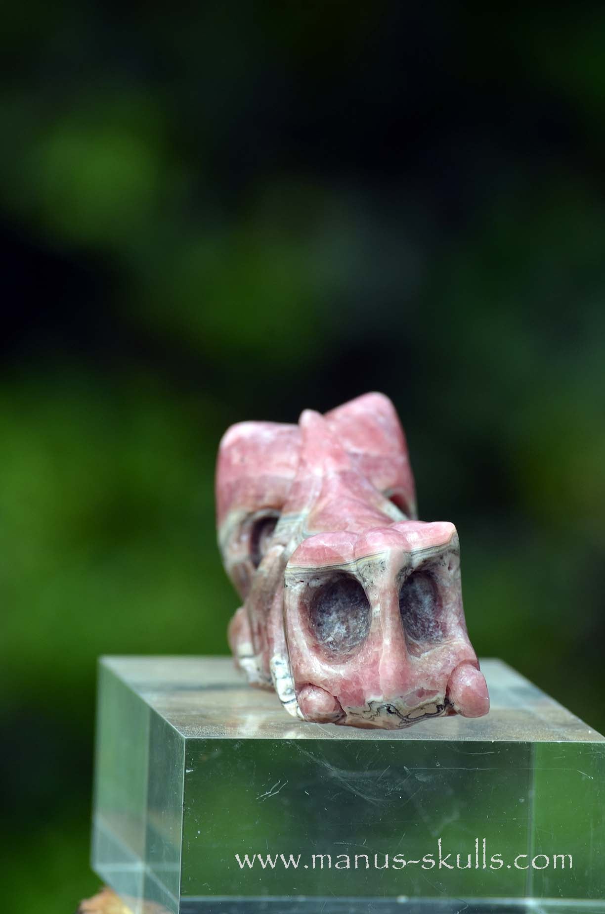 Rhodochrosite Dragon