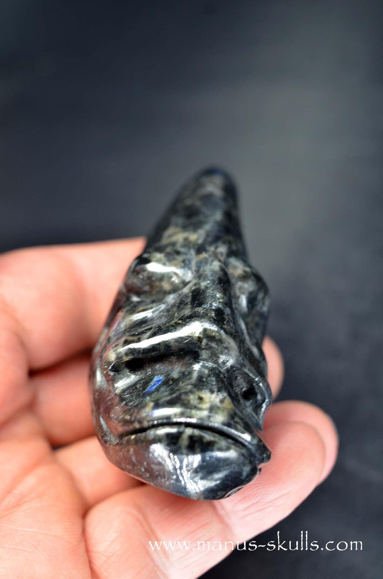 Spectrolite Toothless Conehead Skull