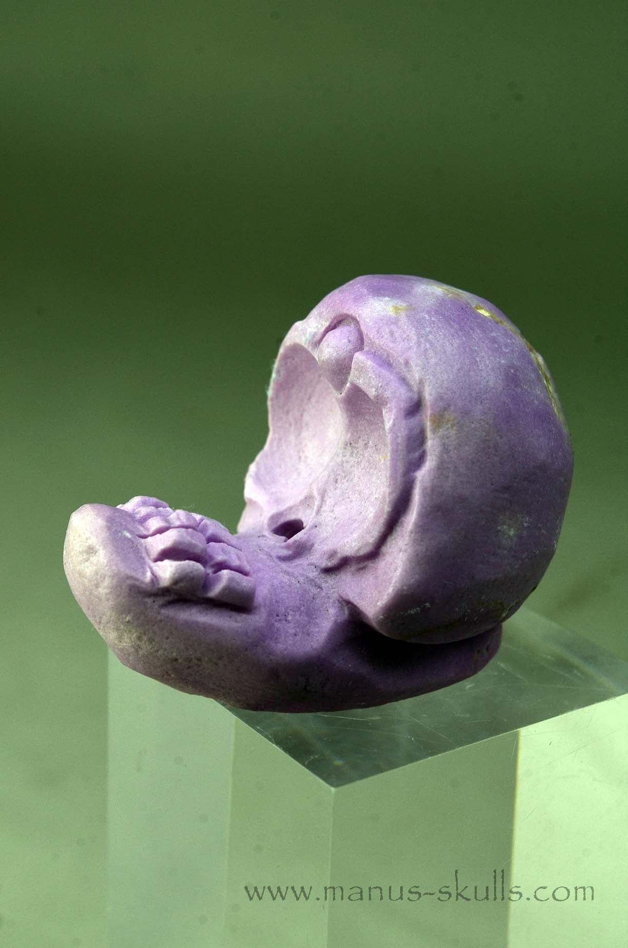 Phosphosiderite Evolian Skull #06