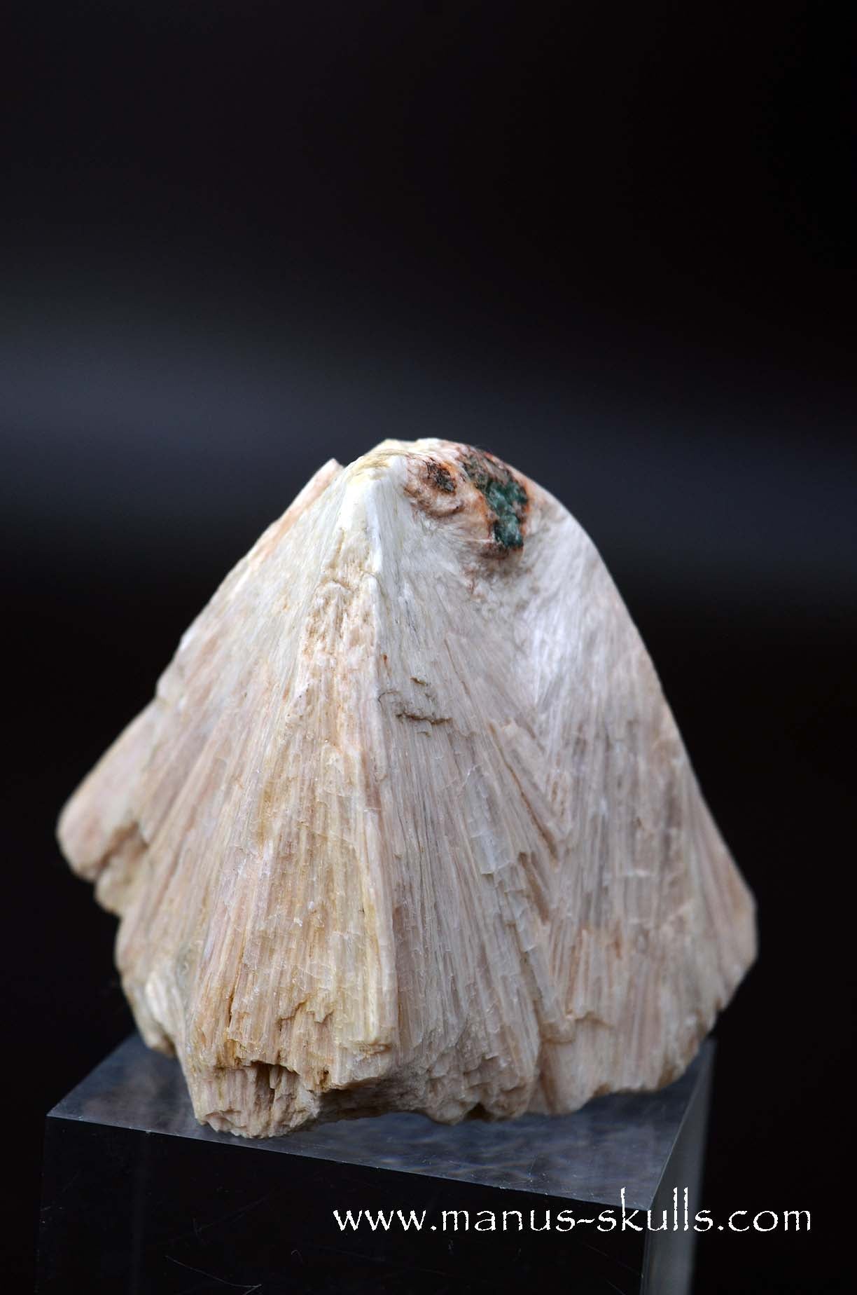 Scolecite Evolian Skull #05