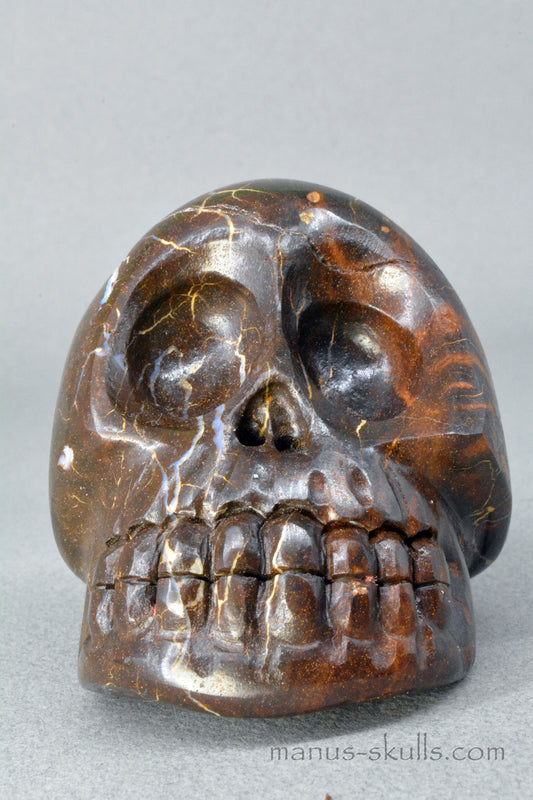 Australian Boulder Opal Manus Skull.