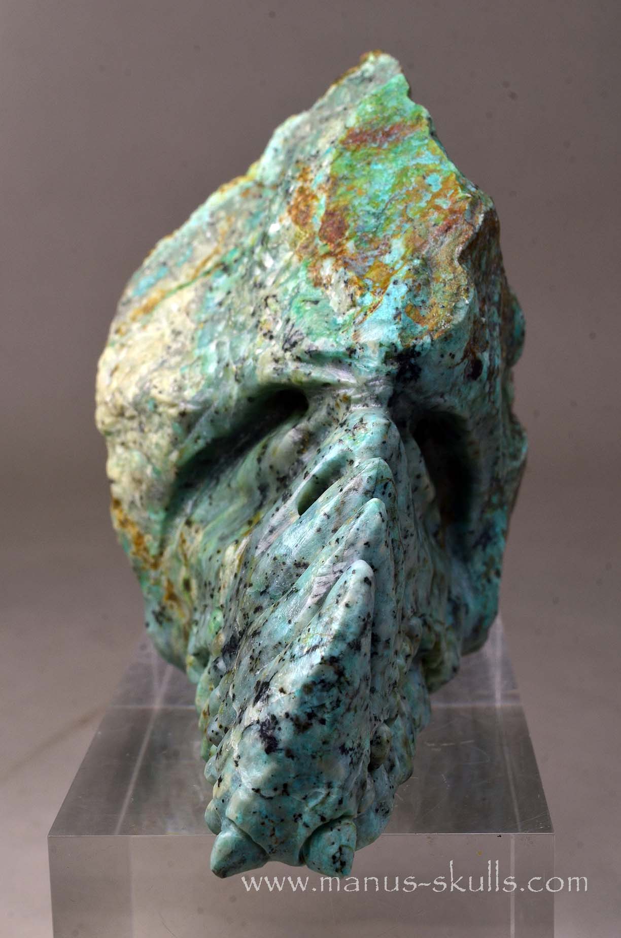 Turquois Manus Dragon