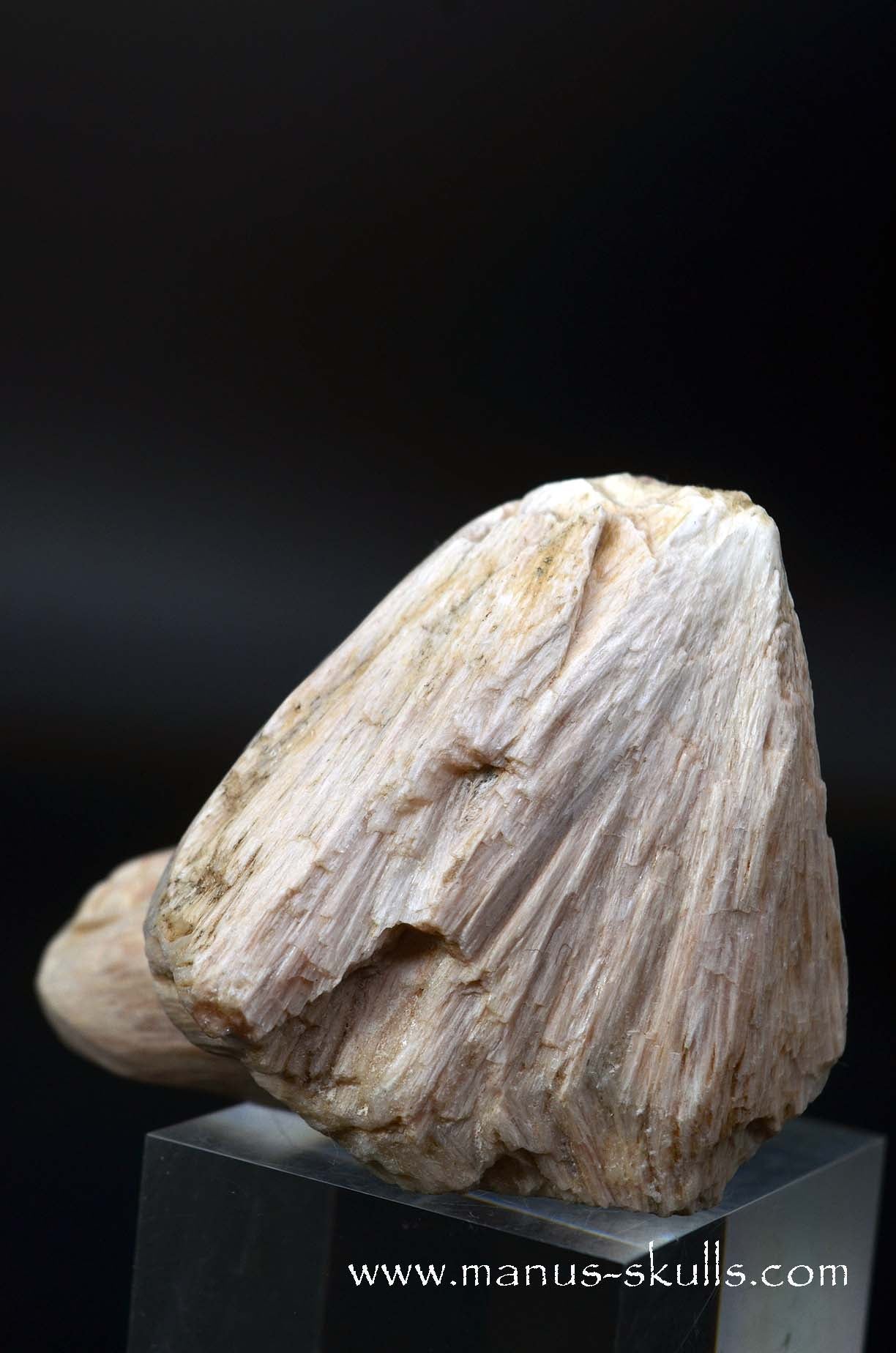 Scolecite Evolian Skull #05