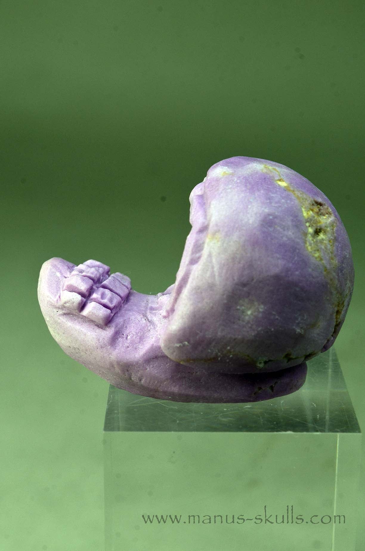 Phosphosiderite Evolian Skull #06