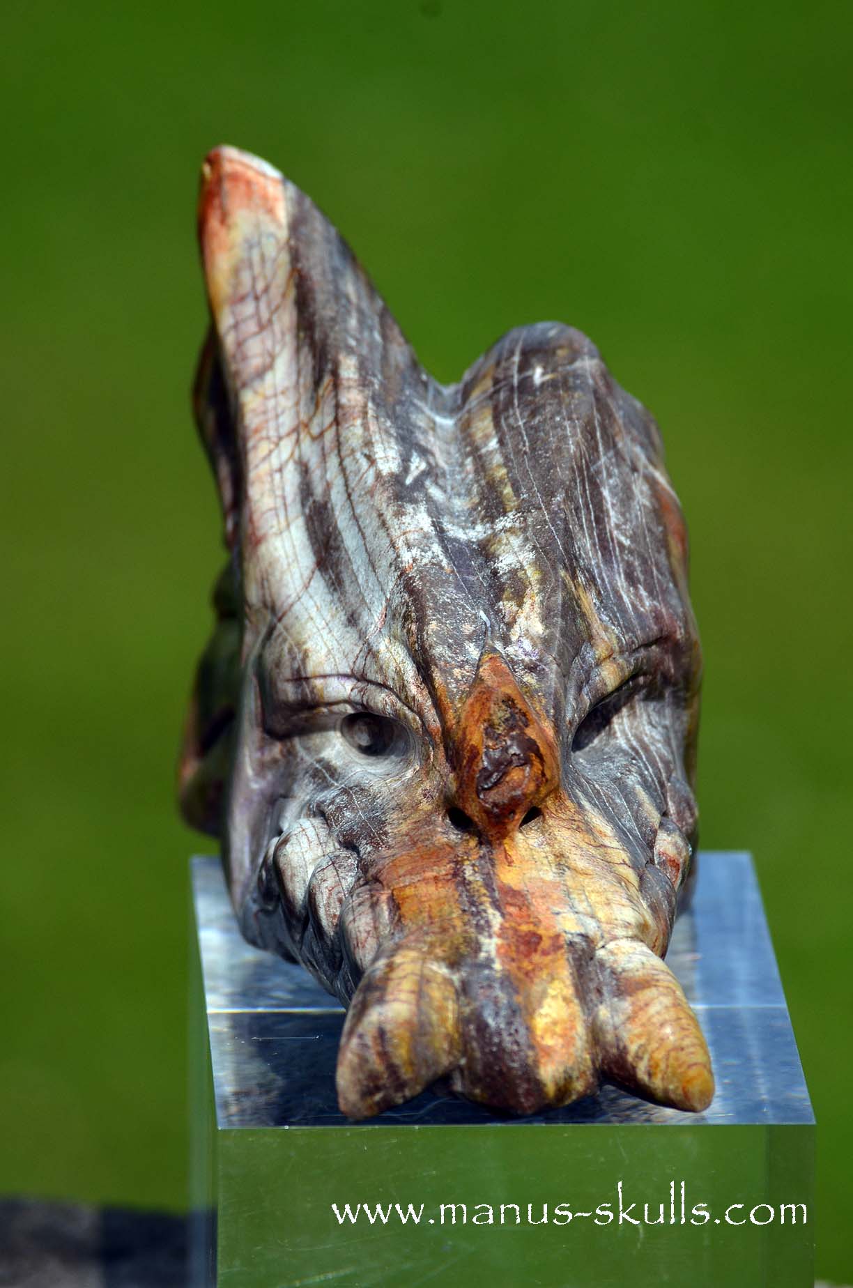 Manus skulls unique Crystal Carvings handmade skulls dragons pendants preseli bluestone tribals spiritual meaning wand Unicorn .. petrified wood