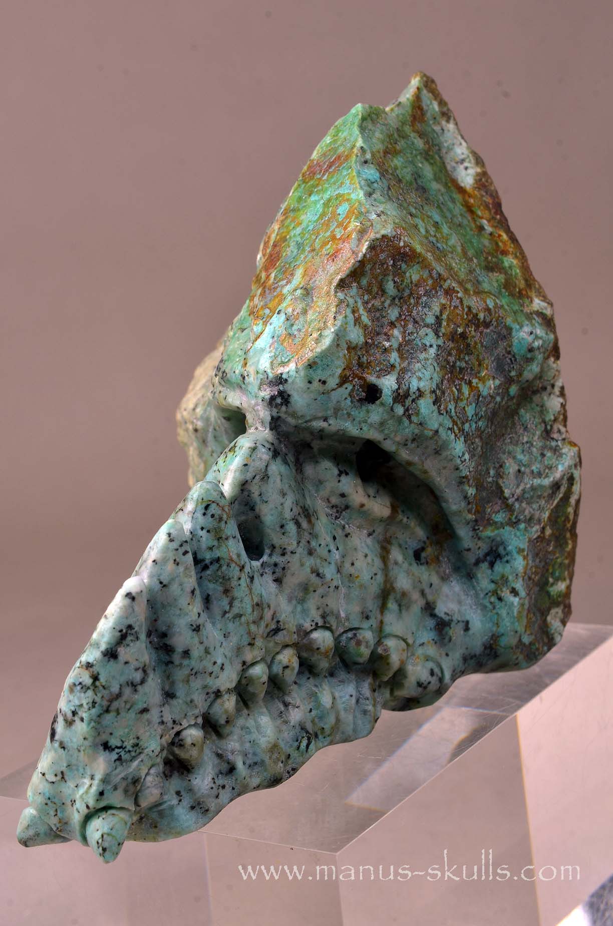 Turquois Manus Dragon