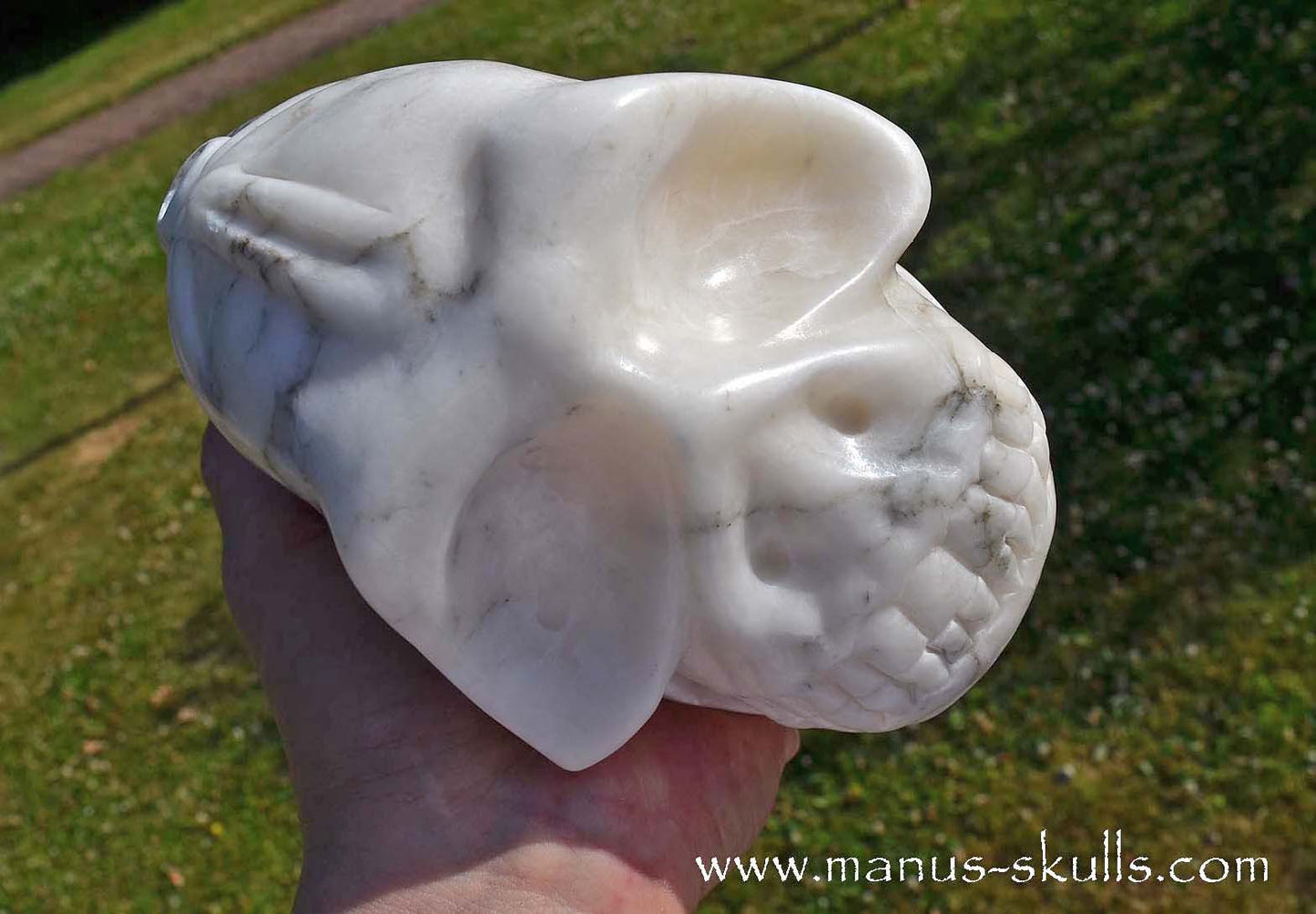 Large Alabaster Skull with Ankh Symbol