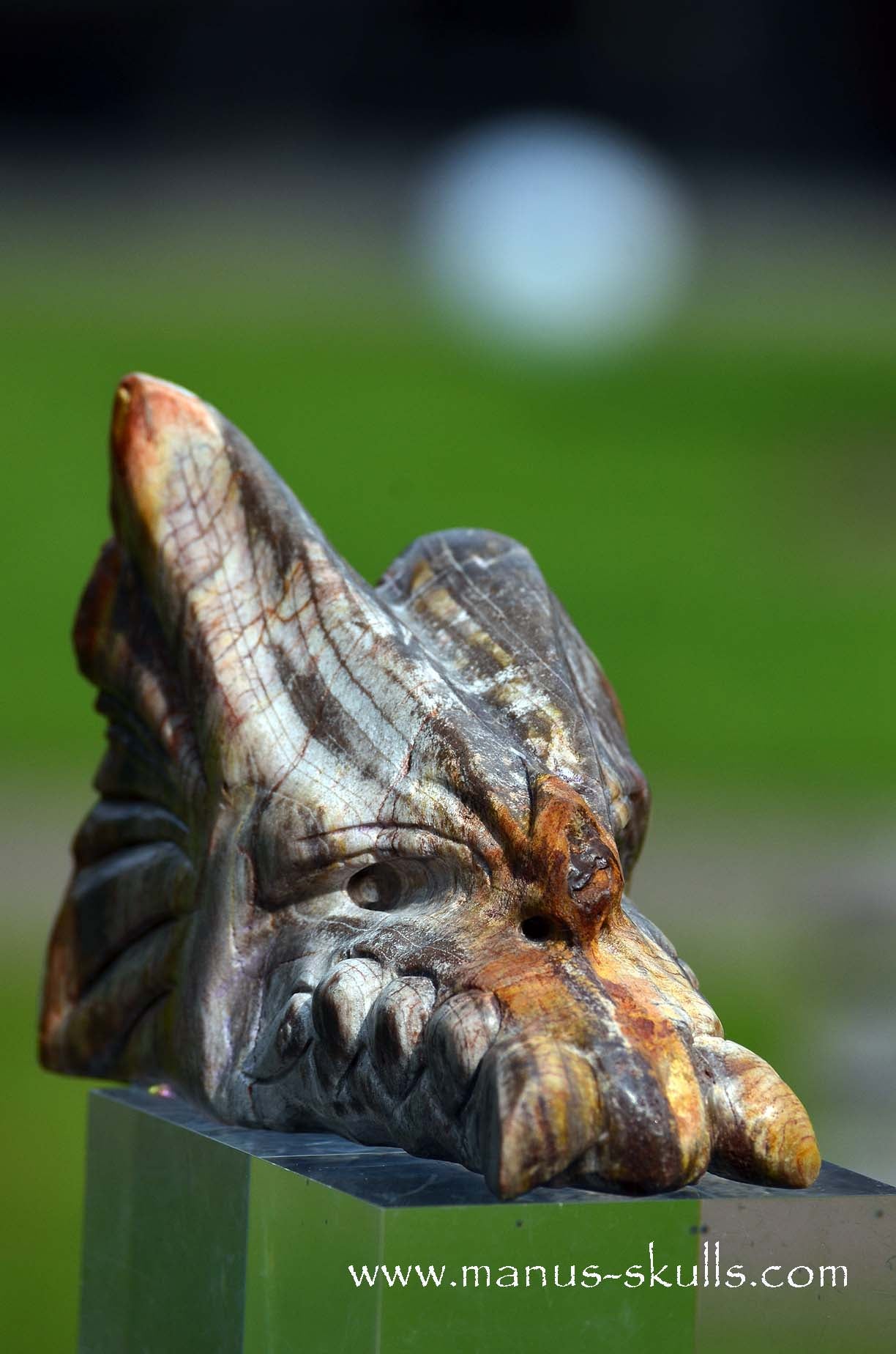 Petrified wood Dragon