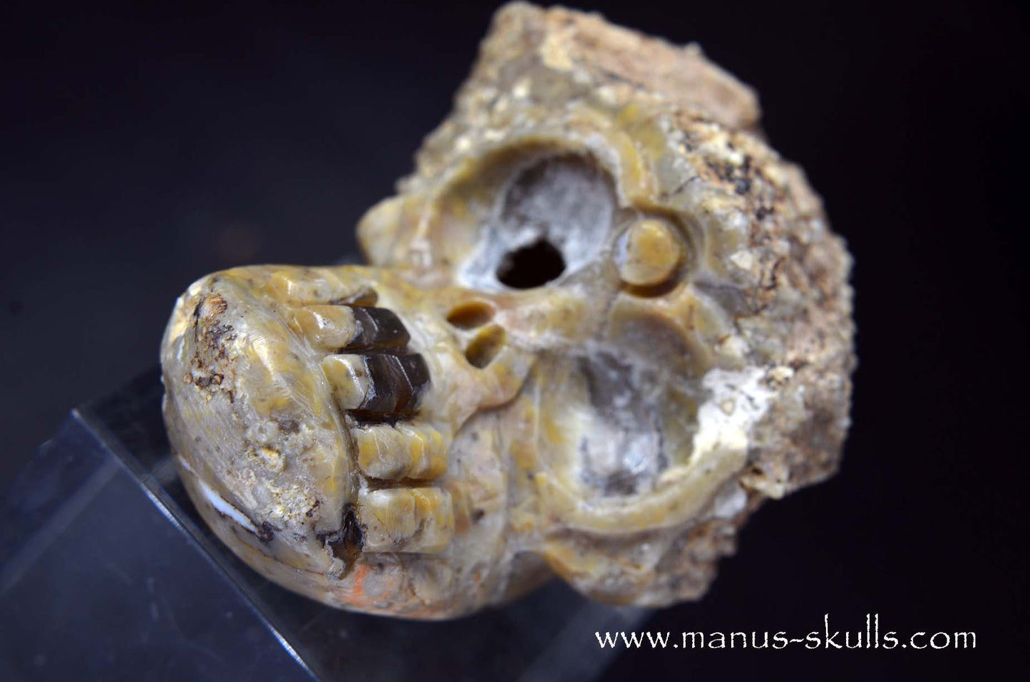 TNT-bed Thunderegg Evolian #05