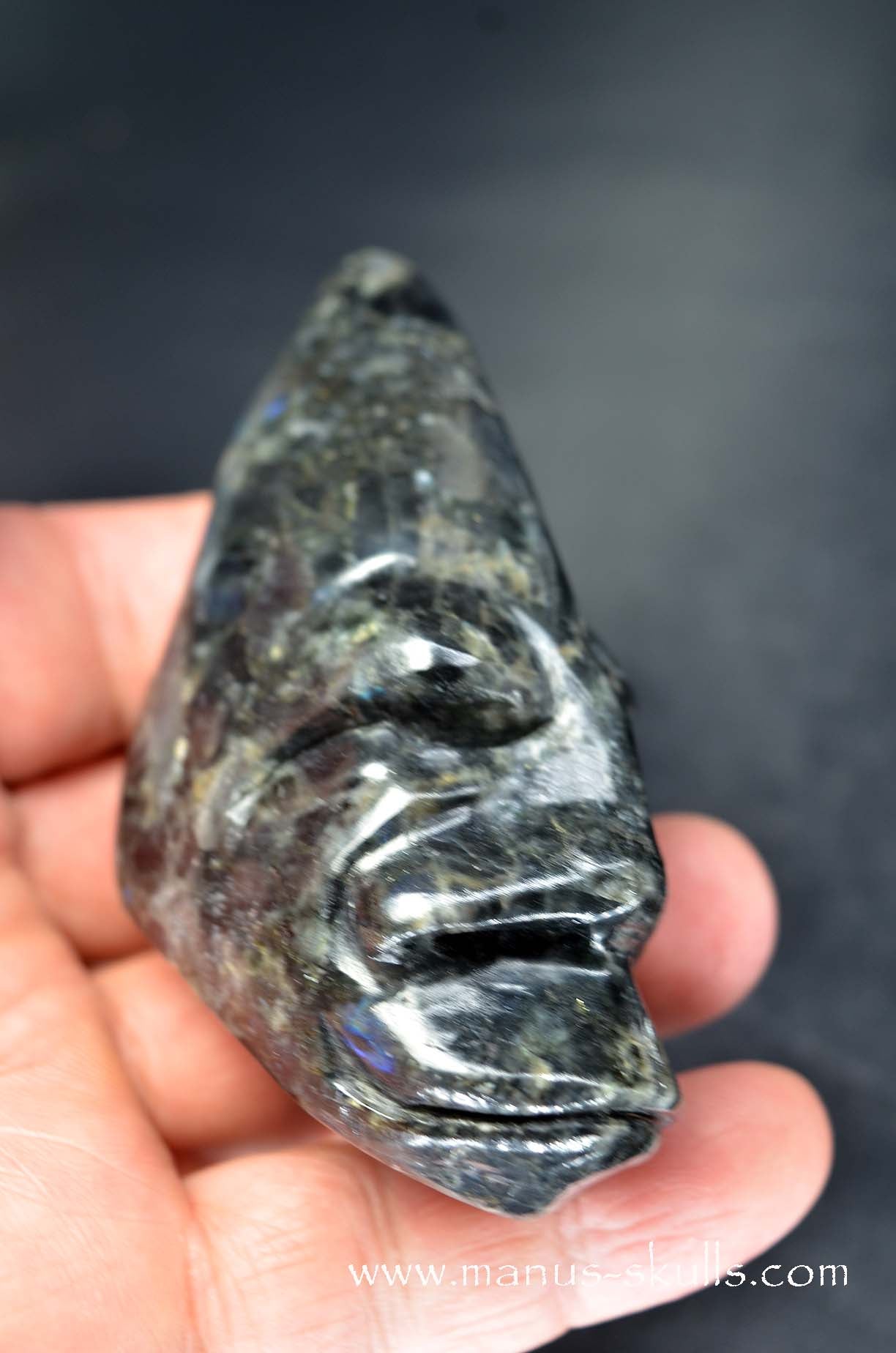 Spectrolite Toothless Conehead Skull