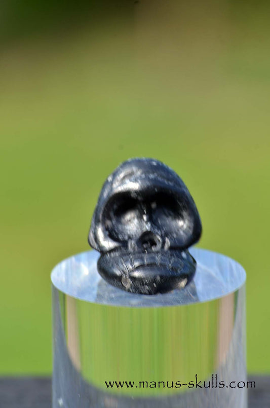 Agni Manitite Evolian