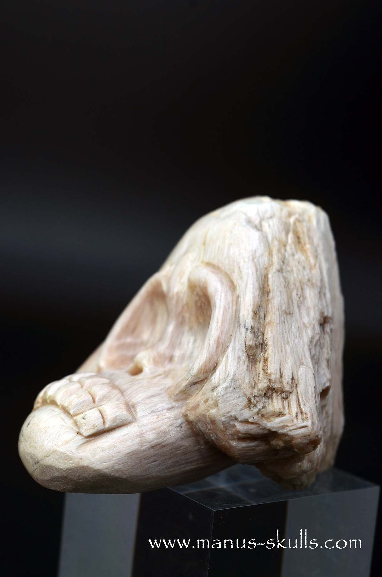 Scolecite Evolian Skull #05