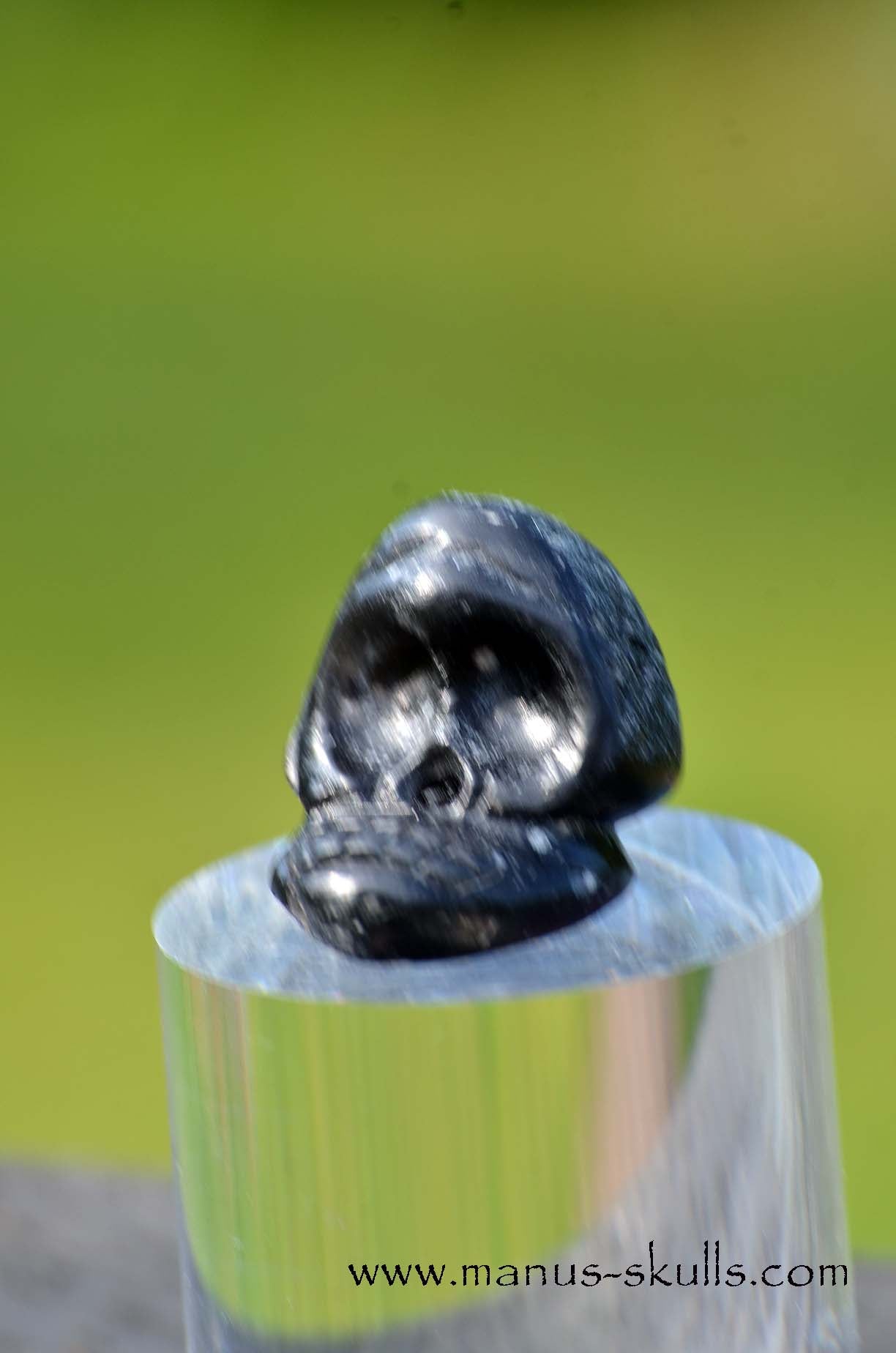 Agni Manitite Evolian