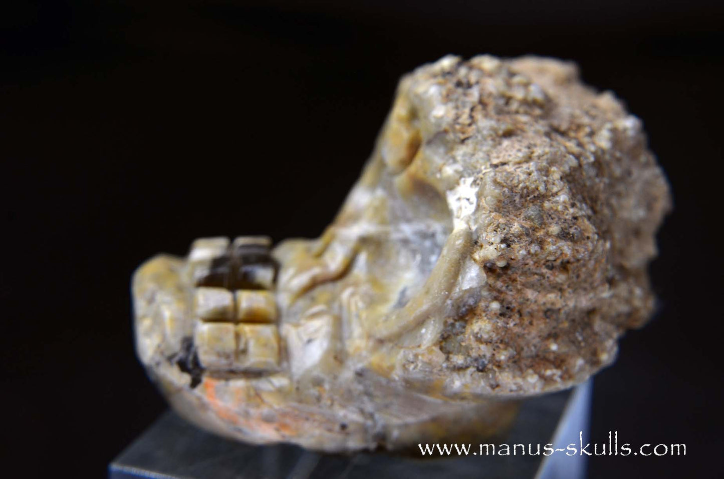 TNT-bed Thunderegg Evolian #05