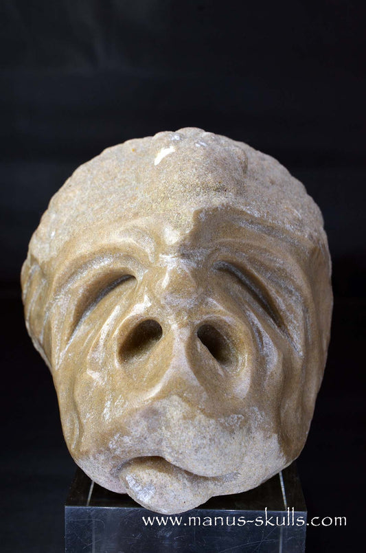 Manus skulls unique Crystal Carvings handmade skulls dragons pendants preseli bluestone tribals spiritual meaning wand Unicorn .. oncolite  stromatolite