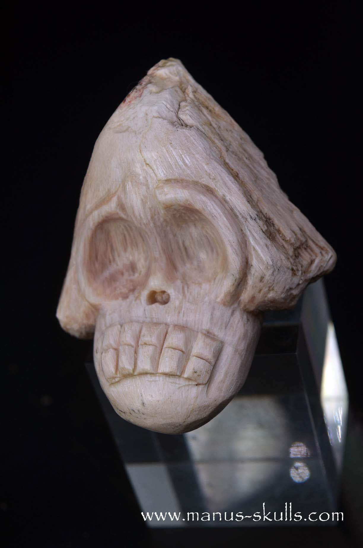 Scolecite Evolian Skull #05