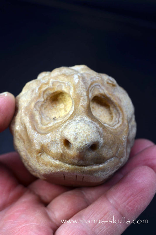 Alt Tekst foto’s: 
Manus skulls unique Crystal Carvings handmade skulls dragons pendants preseli bluestone tribals spiritual meaning wand Unicorn .. 
stromatolite   oncolite