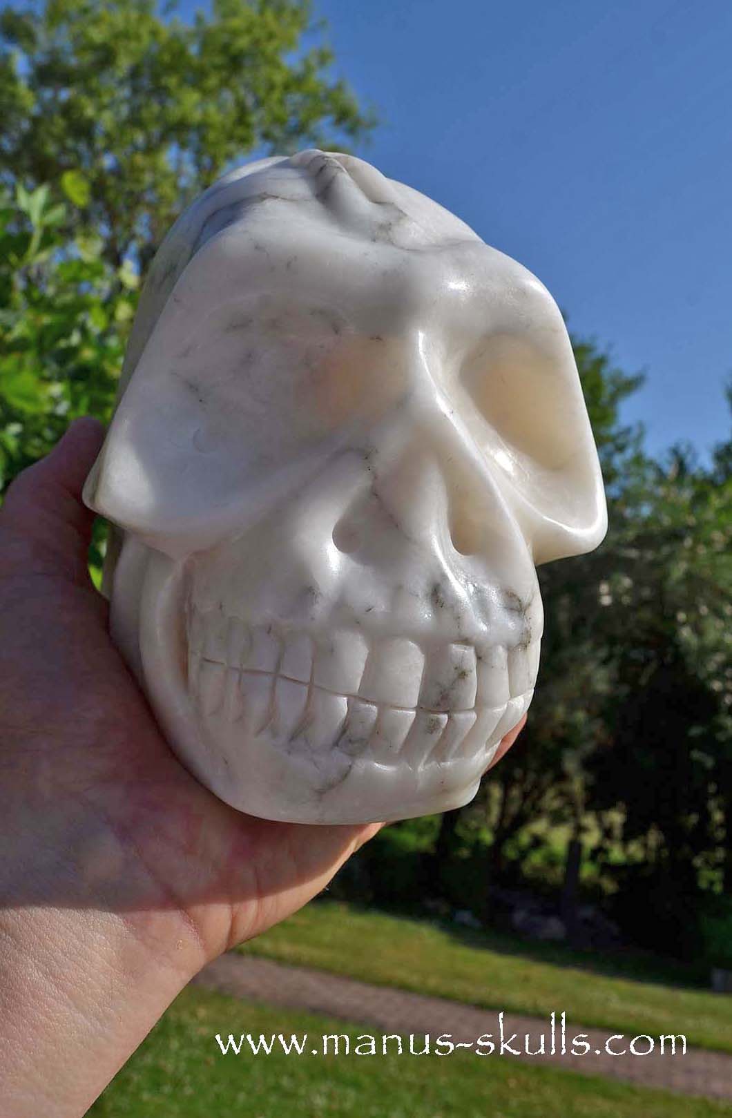 Large Alabaster Skull with Ankh Symbol