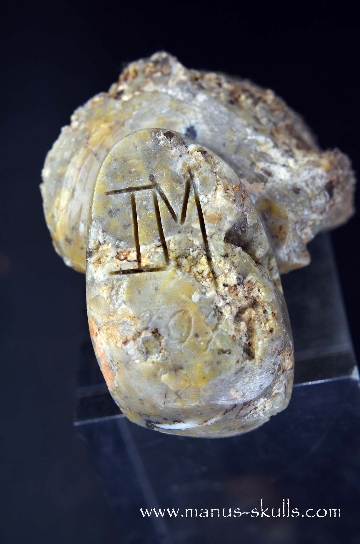 TNT-bed Thunderegg Evolian #05