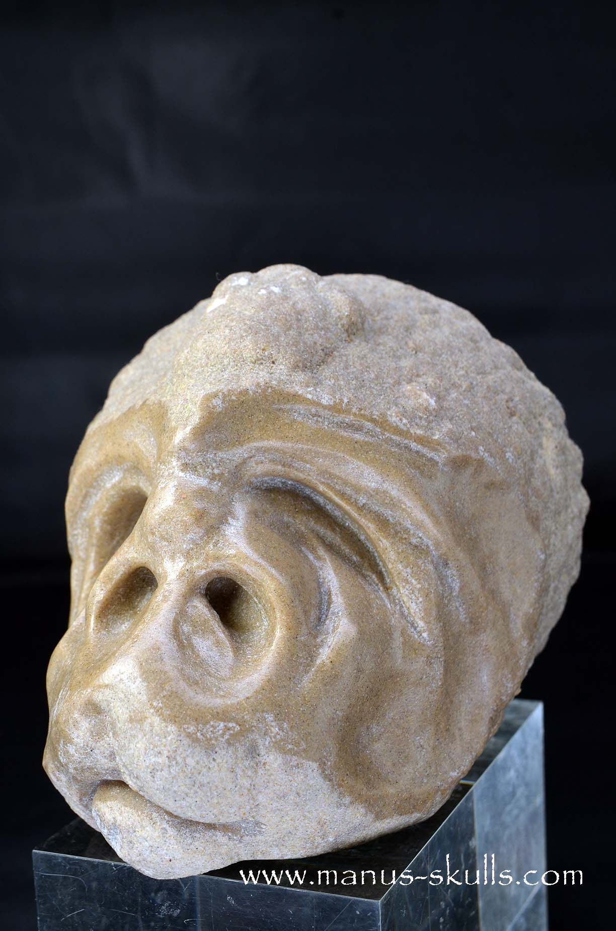 Manus skulls unique Crystal Carvings handmade skulls dragons pendants preseli bluestone tribals spiritual meaning wand Unicorn .. oncolite  stromatolite