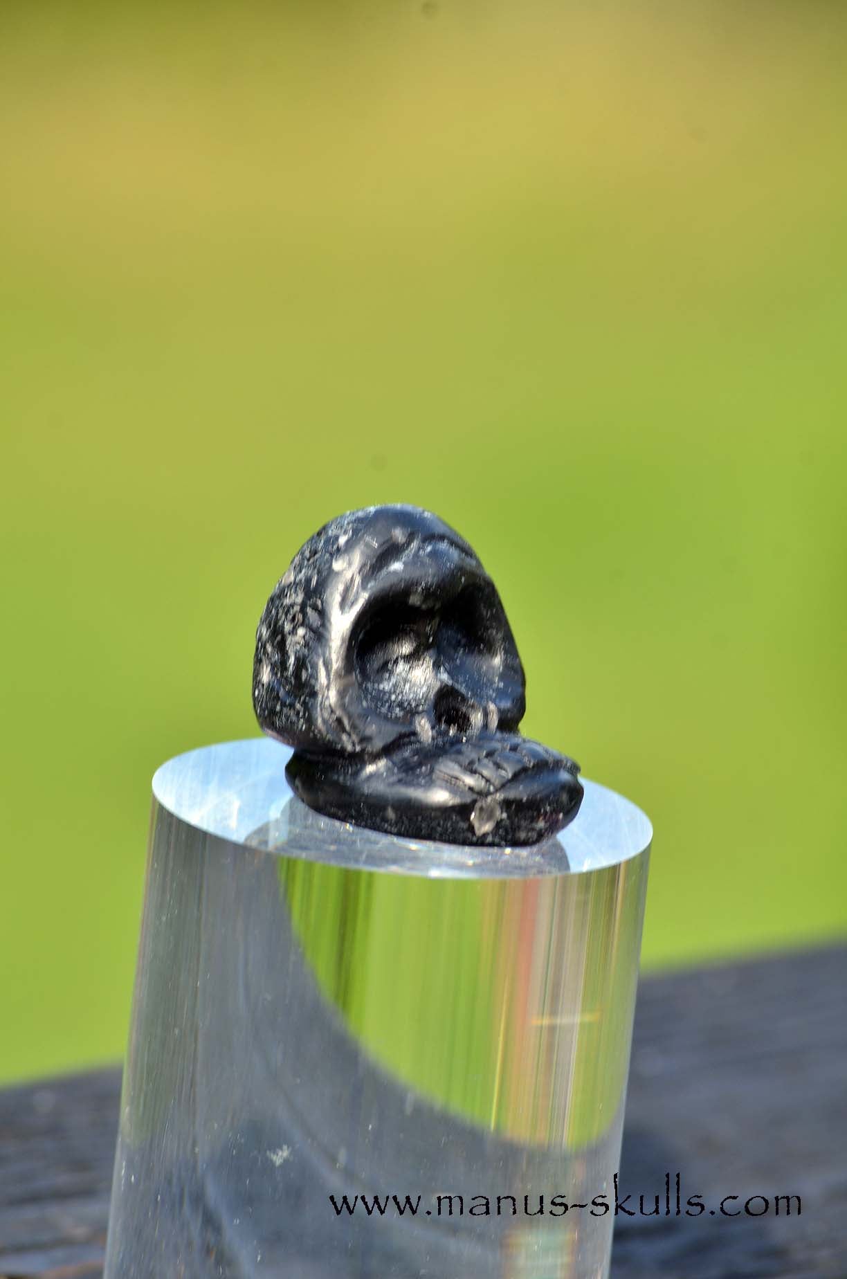 Agni Manitite Evolian