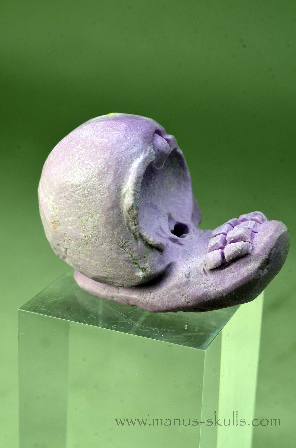 Phosphosiderite Evolian Skull #06