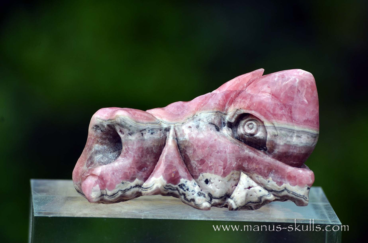 Rhodochrosite Dragon