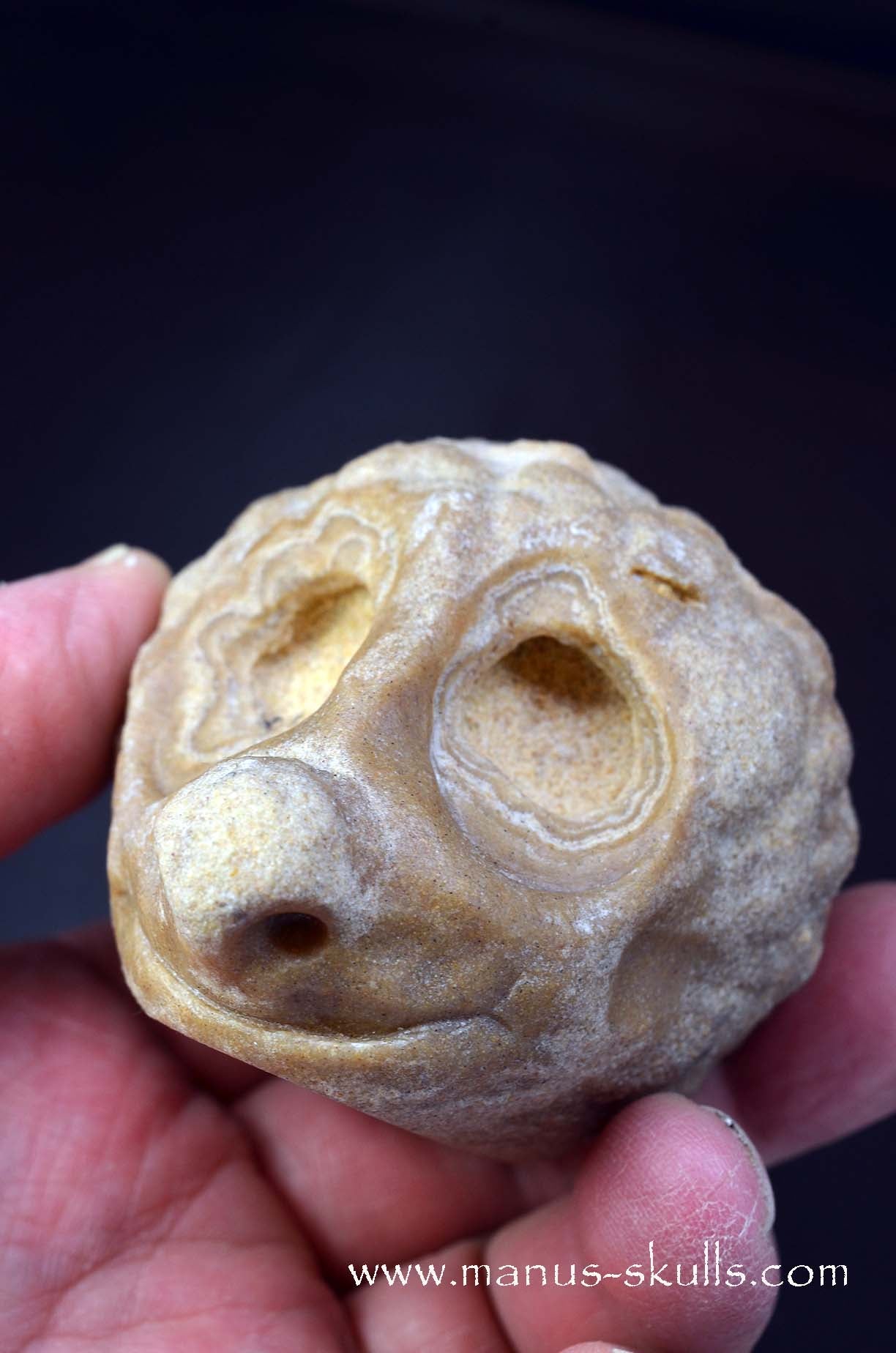 Stromatolite ~ Oncolite Character Skull